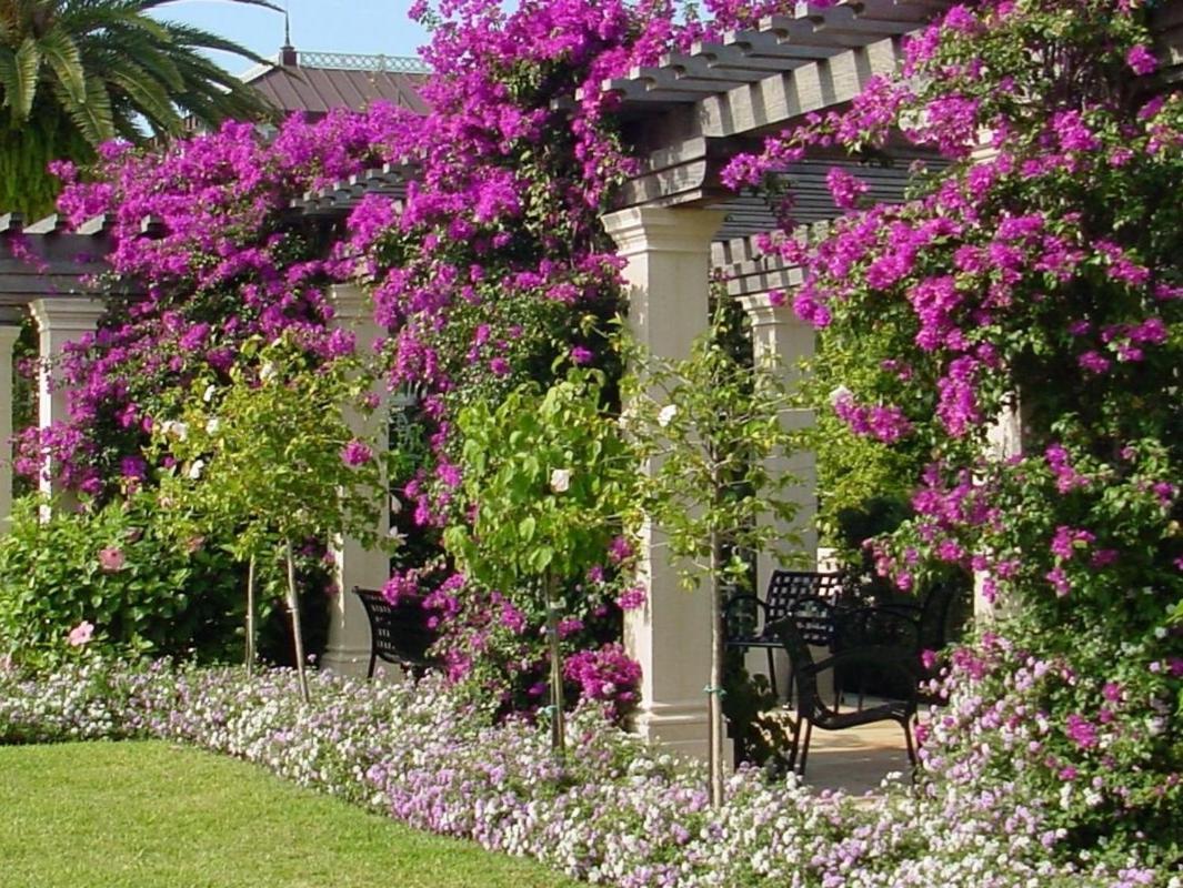 Hemingway Suites At Palm Beach Hotel Island Exterior foto